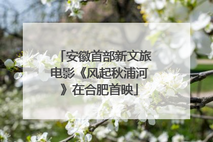 安徽首部新文旅电影《风起秋浦河》在合肥首映