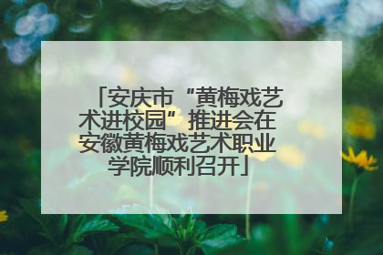 安庆市“黄梅戏艺术进校园”推进会在安徽黄梅戏艺术职业学院顺利召开