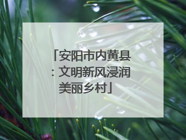 安阳市内黄县：文明新风浸润美丽乡村