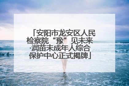 安阳市龙安区人民检察院“豫”见未来·润苗未成年人综合保护中心正式揭牌