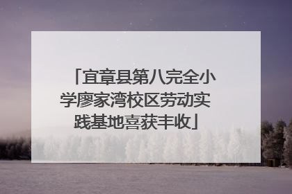 宜章县第八完全小学廖家湾校区劳动实践基地喜获丰收
