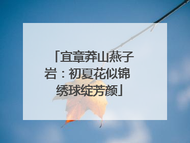 宜章莽山燕子岩：初夏花似锦 绣球绽芳颜