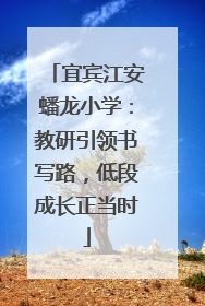 宜宾江安蟠龙小学：教研引领书写路，低段成长正当时