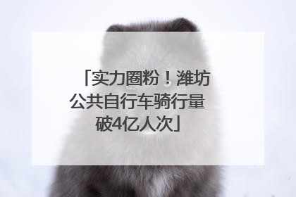 实力圈粉！潍坊公共自行车骑行量破4亿人次