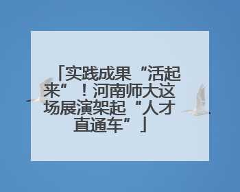 实践成果“活起来”！河南师大这场展演架起“人才直通车”