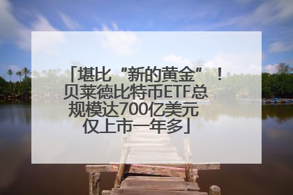 堪比“新的黄金”！贝莱德比特币ETF总规模达700亿美元 仅上市一年多