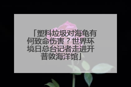 塑料垃圾对海龟有何致命伤害？世界环境日总台记者走进开普敦海洋馆