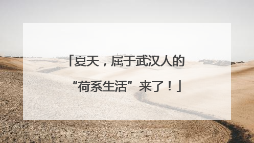 夏天，属于武汉人的“荷系生活”来了！