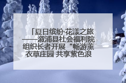 夏日缤纷·花漾之旅——溆浦县社会福利院组织长者开展“畅游薰衣草庄园 共享紫色浪漫”户外活动