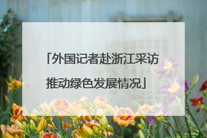 外国记者赴浙江采访推动绿色发展情况