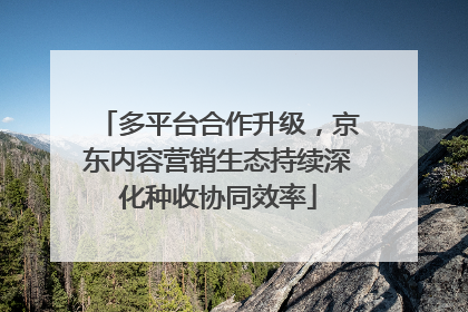 多平台合作升级，京东内容营销生态持续深化种收协同效率
