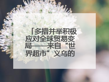 多措并举积极应对全球贸易变局——来自“世界超市”义乌的一线走访