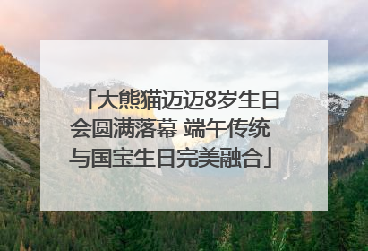 大熊猫迈迈8岁生日会圆满落幕 端午传统与国宝生日完美融合