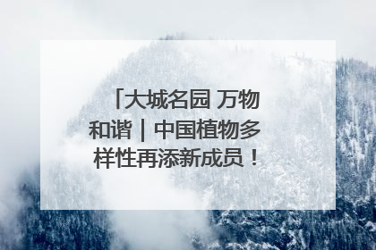 大城名园 万物和谐｜中国植物多样性再添新成员！它只在西藏墨脱
