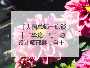 大国总师一席谈｜“华龙一号”总设计师邢继：自主创新铸就核电“国家名片”
