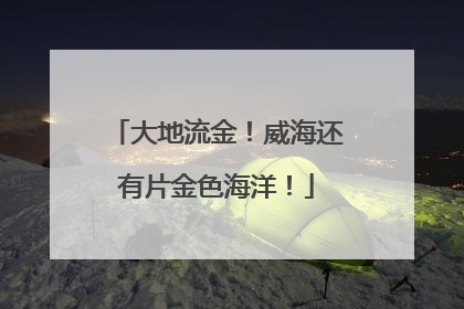 大地流金！威海还有片金色海洋！
