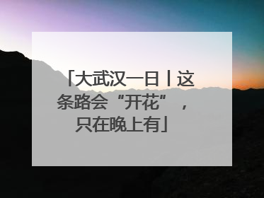 大武汉一日丨这条路会“开花”，只在晚上有