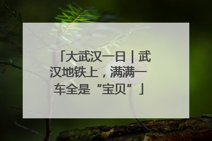 大武汉一日｜武汉地铁上，满满一车全是“宝贝”