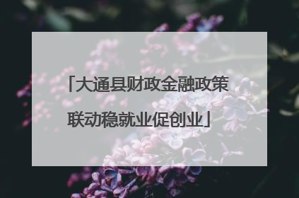 大通县财政金融政策联动稳就业促创业