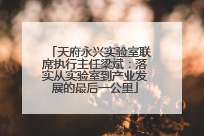 天府永兴实验室联席执行主任梁斌：落实从实验室到产业发展的最后一公里
