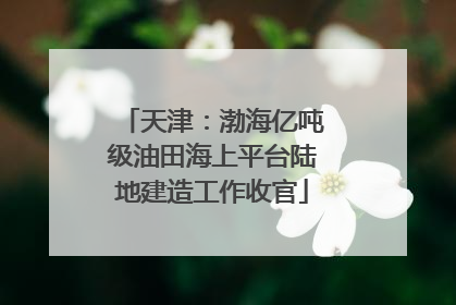 天津：渤海亿吨级油田海上平台陆地建造工作收官