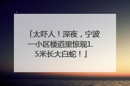 太吓人！深夜，宁波一小区楼道里惊现1.5米长大白蛇！