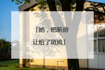 她，把新房让给了斑鸠