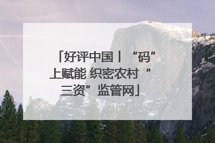 好评中国丨“码”上赋能 织密农村“三资”监管网