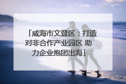 威海市文登区：打造对非合作产业园区 助力企业抱团出海