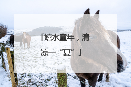 嬉水童年，清凉一“夏”