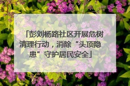 彭刘杨路社区开展危树清理行动，消除“头顶隐患”守护居民安全