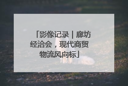 影像记录｜廊坊经洽会，现代商贸物流风向标