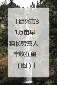德兴市3.1万亩早稻长势喜人 丰收在望（图）