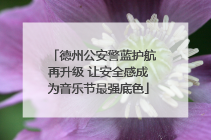 德州公安警蓝护航再升级 让安全感成为音乐节最强底色