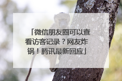 微信朋友圈可以查看访客记录？网友炸锅！腾讯最新回应