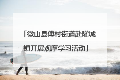 微山县傅村街道赴驩城镇开展观摩学习活动