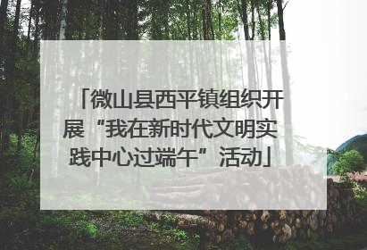 微山县西平镇组织开展“我在新时代文明实践中心过端午”活动