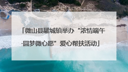 微山县驩城镇举办“浓情端午·圆梦微心愿”爱心帮扶活动
