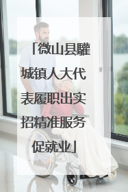 微山县驩城镇人大代表履职出实招精准服务促就业