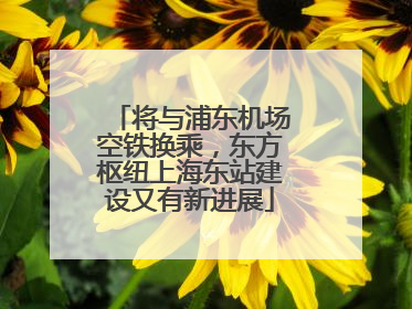 将与浦东机场空铁换乘，东方枢纽上海东站建设又有新进展