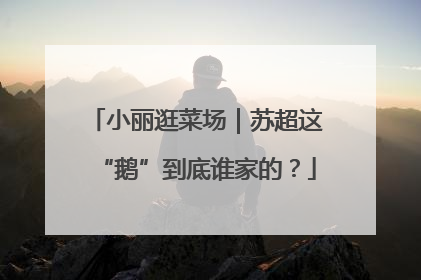 小丽逛菜场｜苏超这“鹅”到底谁家的？
