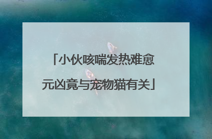 小伙咳喘发热难愈 元凶竟与宠物猫有关