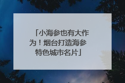 小海参也有大作为！烟台打造海参特色城市名片
