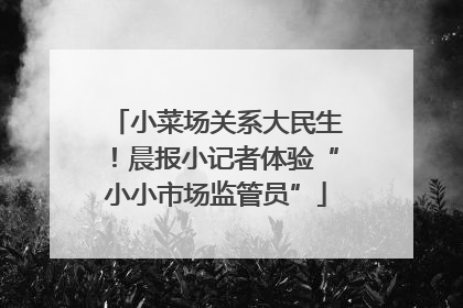 小菜场关系大民生！晨报小记者体验“小小市场监管员”