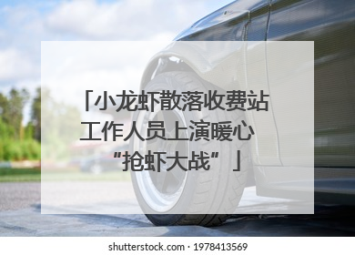 小龙虾散落收费站 工作人员上演暖心“抢虾大战”