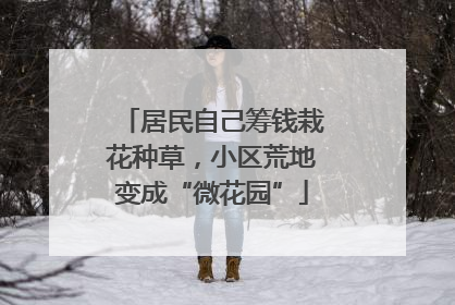 居民自己筹钱栽花种草，小区荒地变成“微花园”