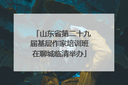 山东省第二十九届基层作家培训班在聊城临清举办