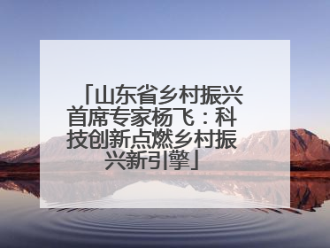 山东省乡村振兴首席专家杨飞：科技创新点燃乡村振兴新引擎