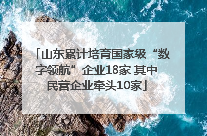 山东累计培育国家级“数字领航”企业18家 其中民营企业牵头10家