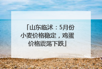 山东临沭：5月份小麦价格稳定，鸡蛋价格震荡下跌